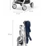 Buggy Image 2