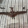 Rodan 2021 S.H Monsterarts Image 2