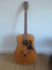 Guitar