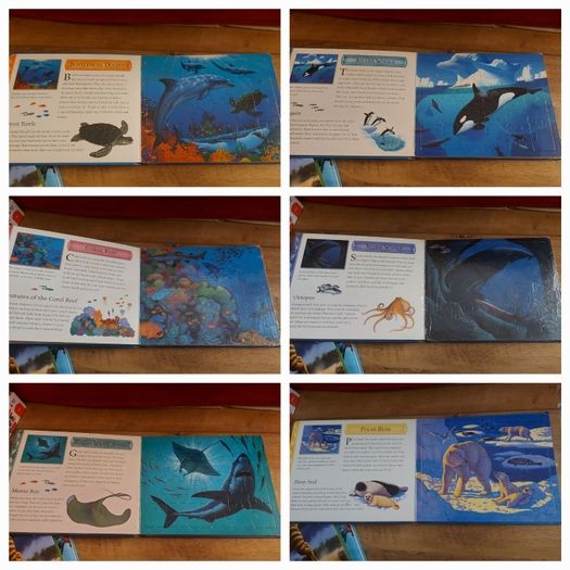 jigsaw books