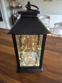 Firefly Lantern