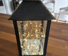 Firefly Lantern