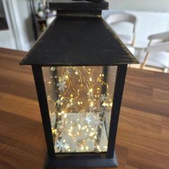 Firefly Lantern