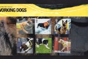 2008 Great Britain Working Dogs Commemorative Stamps Presentation Pack