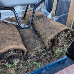 Sedum roll matts