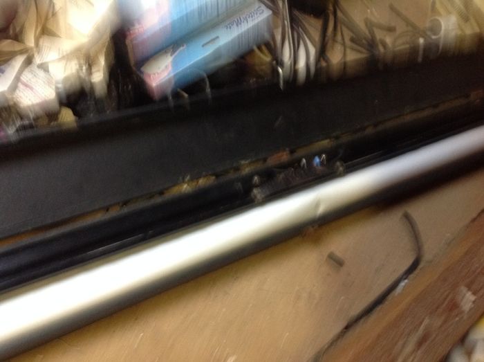 Film screen