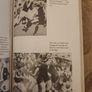 The Irish Lions 1896-1983. By Barry Coughlan. First Edition Paperback In Good Condition. 37. Image 9
