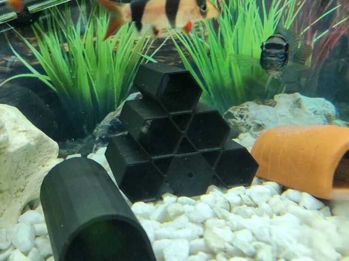 Pleco Caves