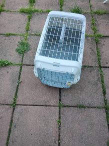 pet carrier