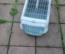 pet carrier