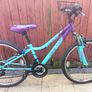 Mountain Bike Image 2