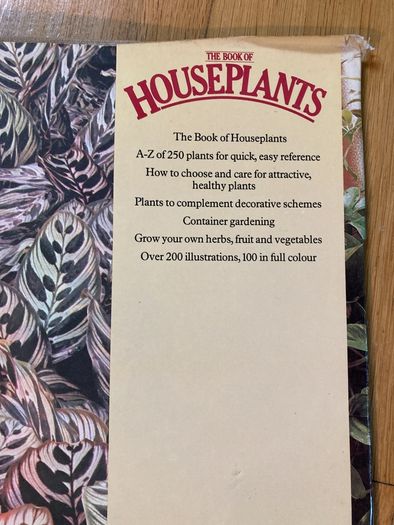 house plants