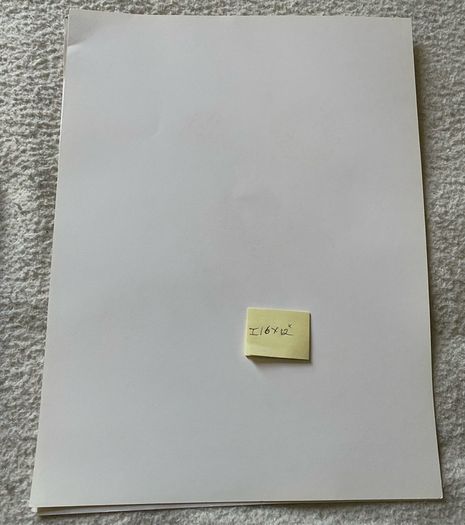 unframed Ariel press poster 1989 of roses