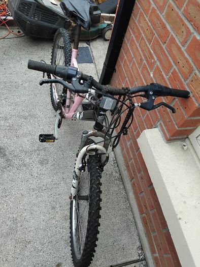 ladys bike