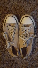 Converse grey