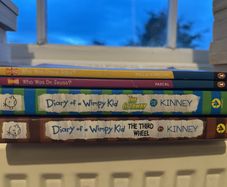 Diary of a Wimpy Kid and Who Was Steve Jobs Dr Seuss books