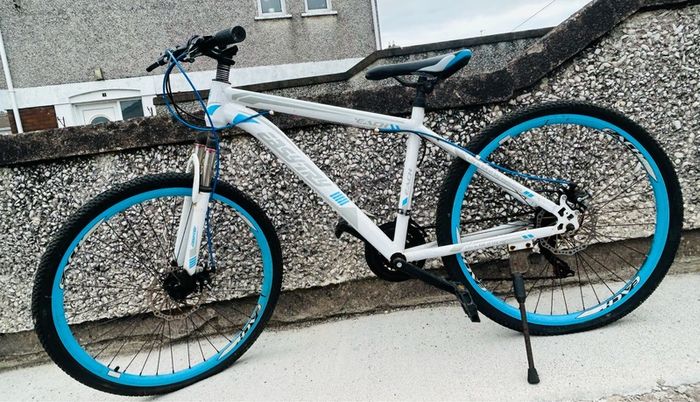 disc bike