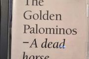 The Golden Palominos - A Dead Horse CD