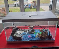 50 Litre Fish Tank