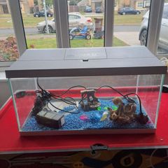 50 Litre Fish Tank