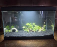 fish tank