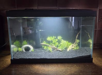 fish tank