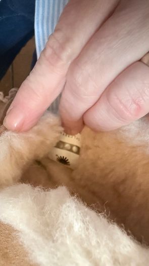 Ugg Slippers Size 3