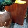 Taxidermy Mallard Duck Image 3