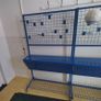 sports trolley for schools or club Image 7