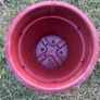 Plastic flower pot Image 3