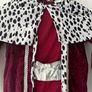 Kings Costume / school play / fancy dress Image 2