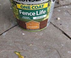 paint