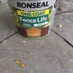 paint