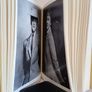 The Langhorne Sisters by James Fox (Signed by the Author) (HQ551) Image 3