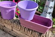 Plant Pots x 3