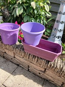 Plant Pots x 3