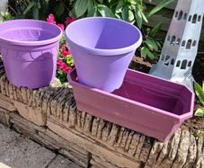 Plant Pots x 3