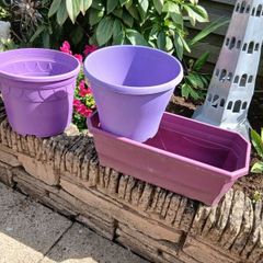 Plant Pots x 3