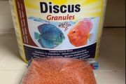 Tetra Discus
