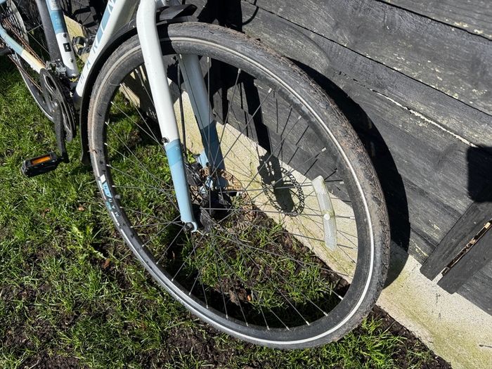 Marine Terra Linda 2 Ladies Bike