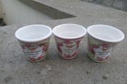 3 Miniature Garden Roses Plant Pots