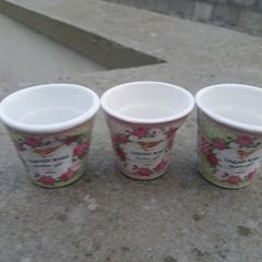 3 Miniature Garden Roses Plant Pots