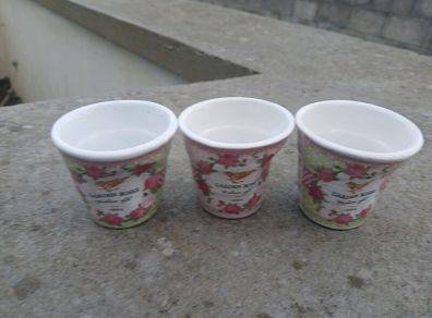3 Miniature Garden Roses Plant Pots