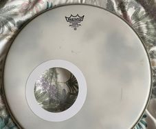 Remo 18" Coated Emperor