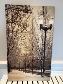 Canvas print of snowy street