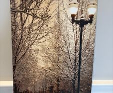 Canvas print of snowy street