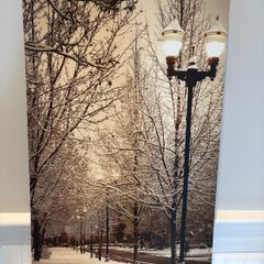 Canvas print of snowy street