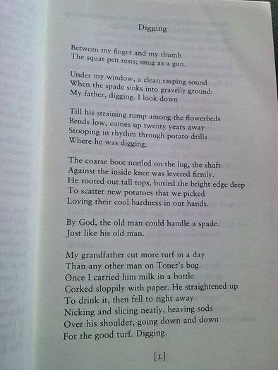 Seamus Heaney new selected poems 1966-1987 Ireland Irish