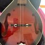 Mandolin Image 2