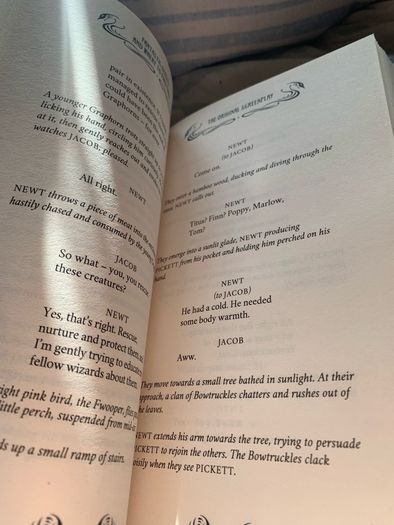 Hardback: Fantastic beasts and where to find them Playwrite